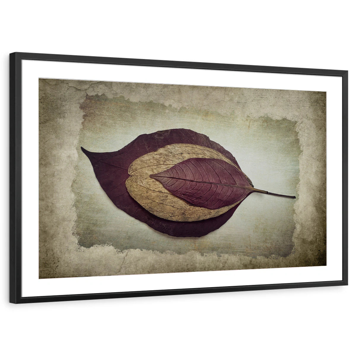 framed-print-black-matted