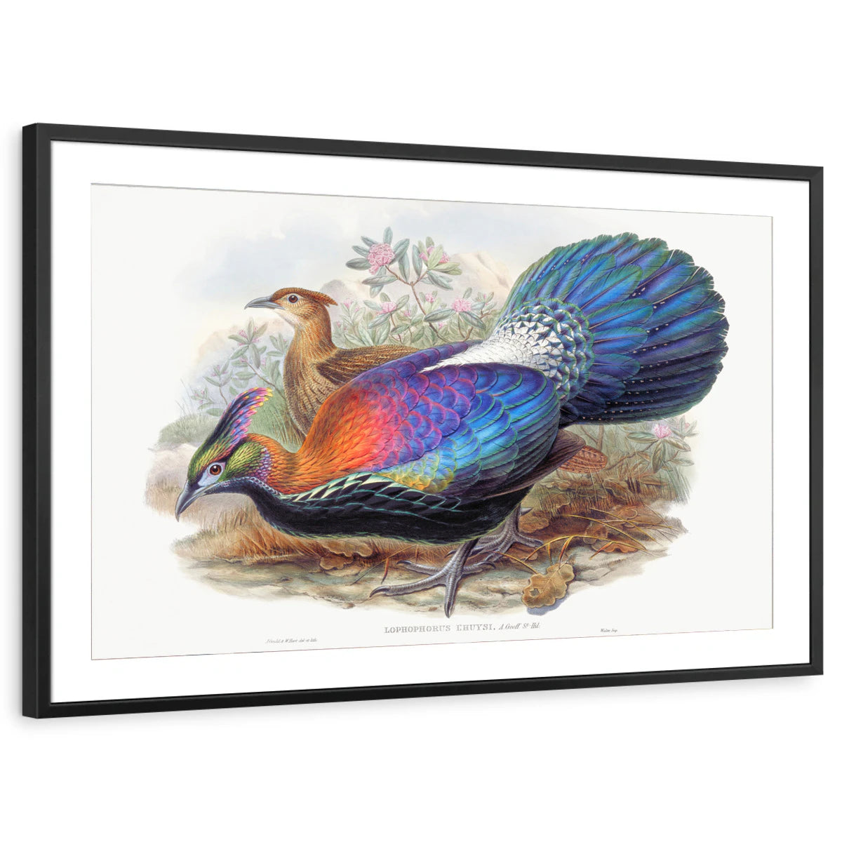 framed-print-black-matted
