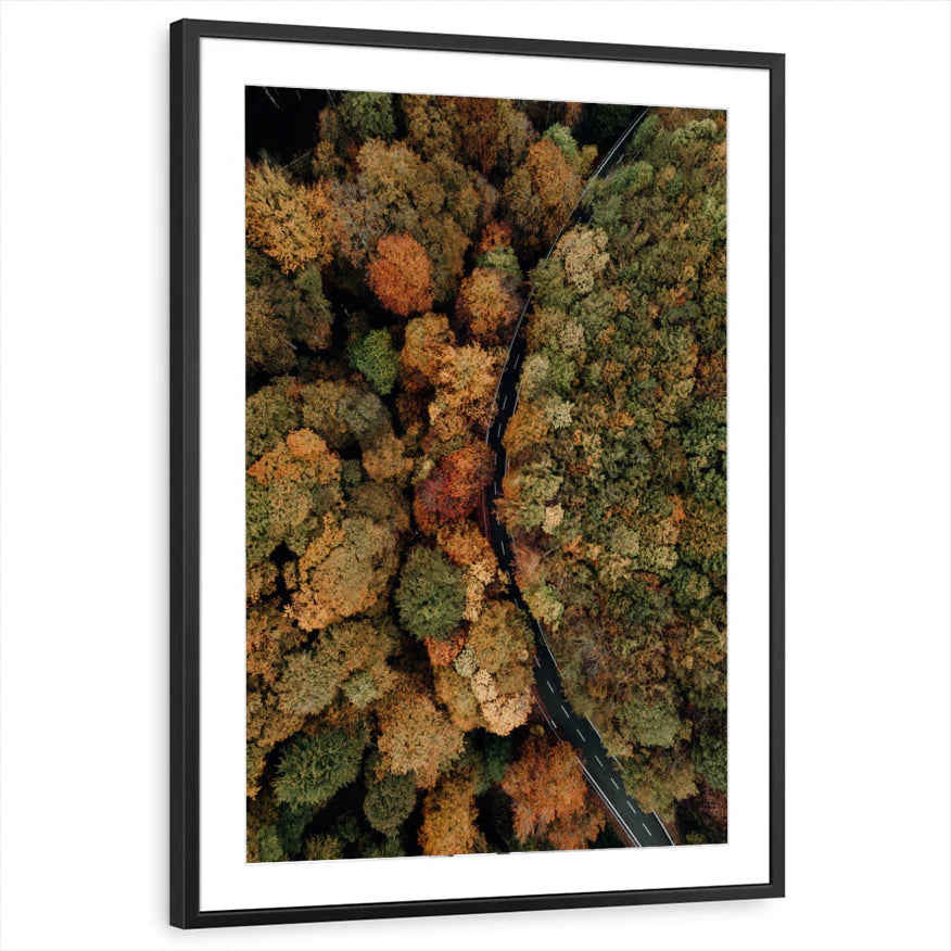 framed-print-black-matted