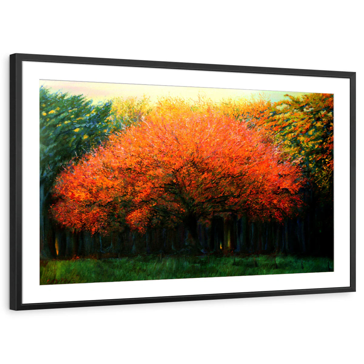 framed-print-black-matted