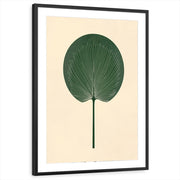 framed-print-black-matted