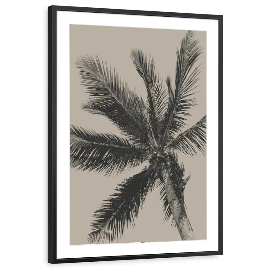 framed-print-black-matted