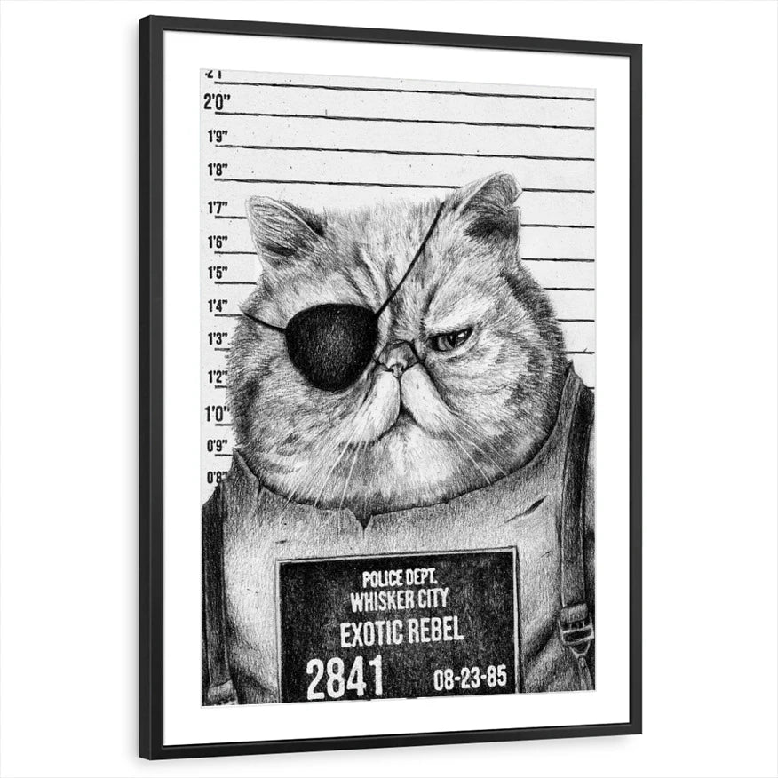 framed-print-black-matted