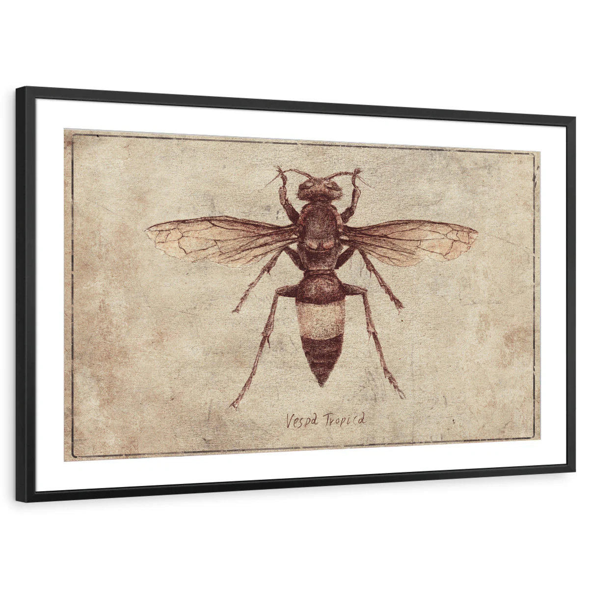 framed-print-black-matted