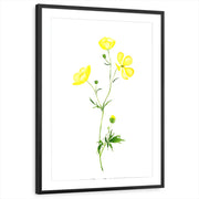 framed-print-black-matted