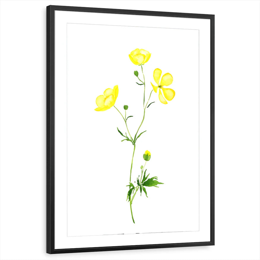 framed-print-black-matted