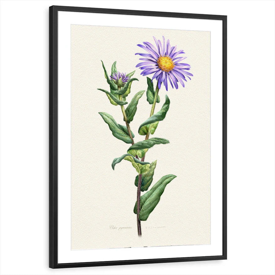framed-print-black-matted