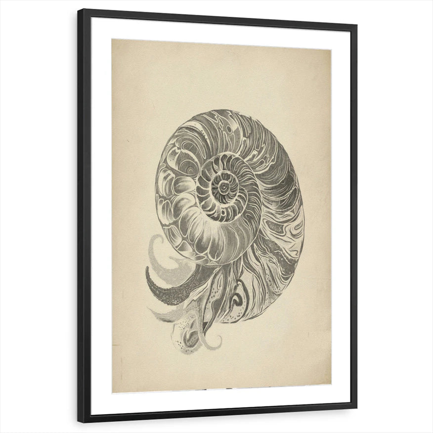 framed-print-black-matted