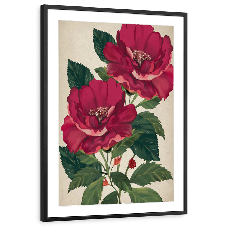 framed-print-black-matted