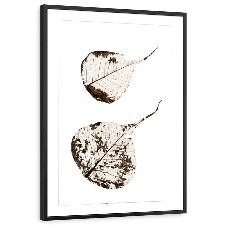 framed-print-black-matted