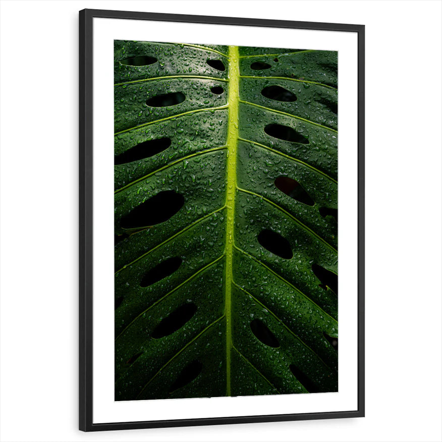 framed-print-black-matted