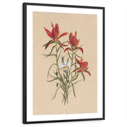 framed-print-black-matted