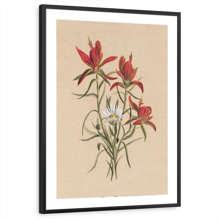 framed-print-black-matted