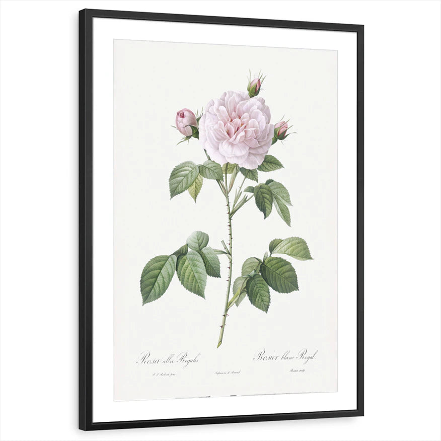 framed-print-black-matted