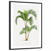 framed-print-black-matted