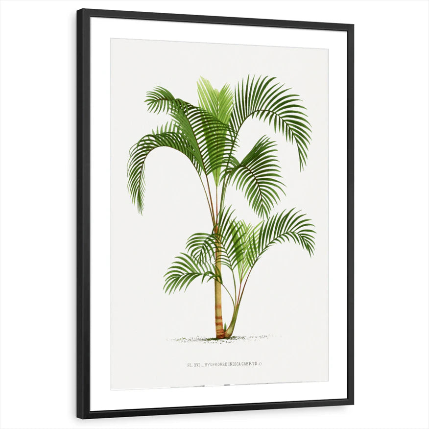 framed-print-black-matted