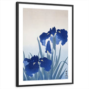 framed-print-black-matted