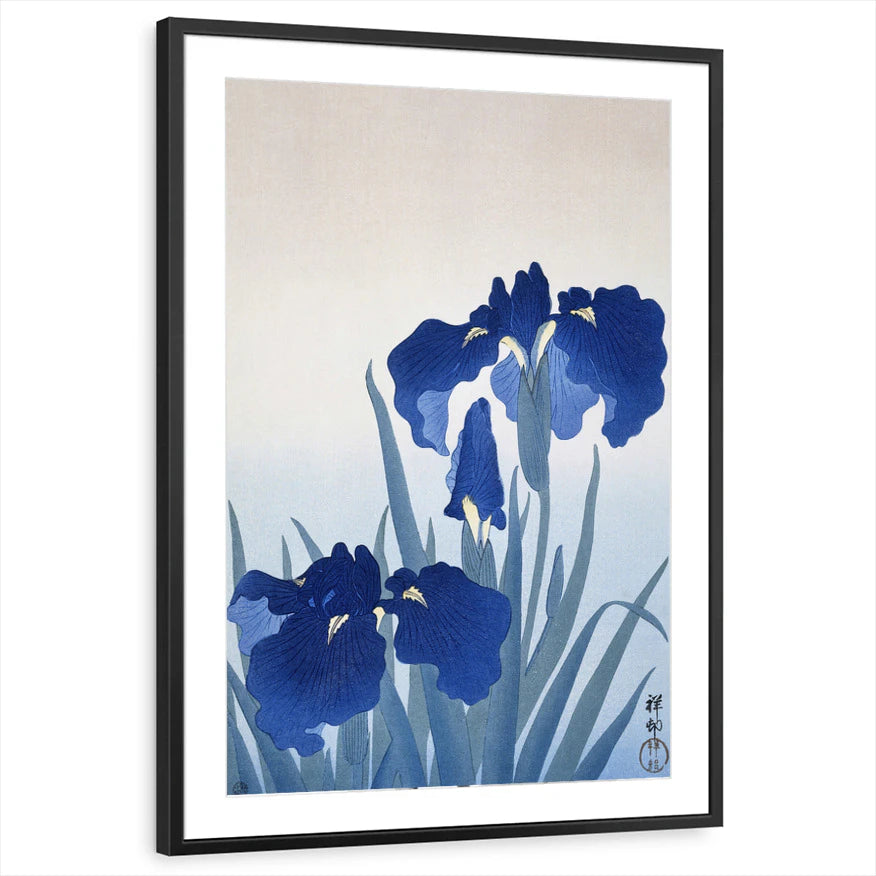 framed-print-black-matted