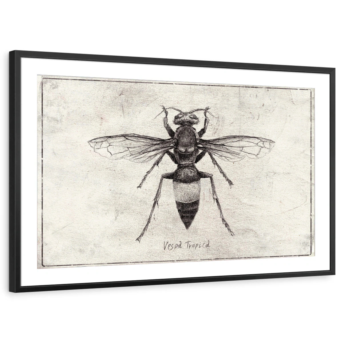 framed-print-black-matted