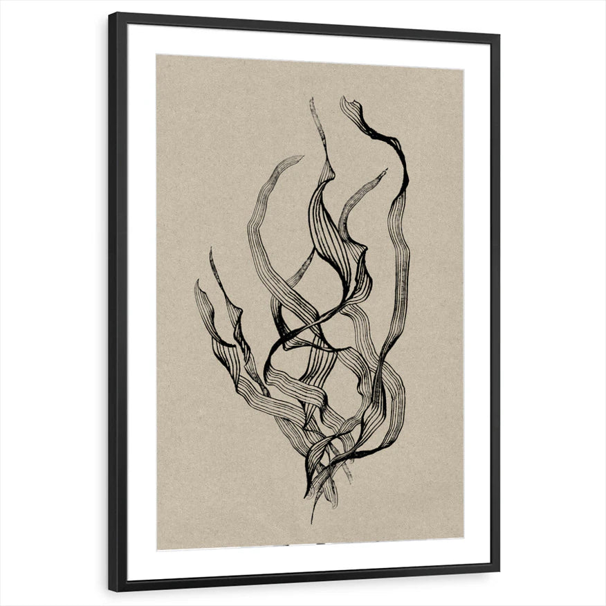 framed-print-black-matted