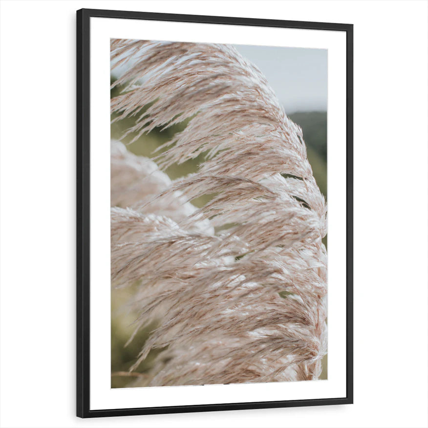 framed-print-black-matted