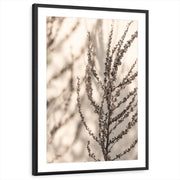 framed-print-black-matted