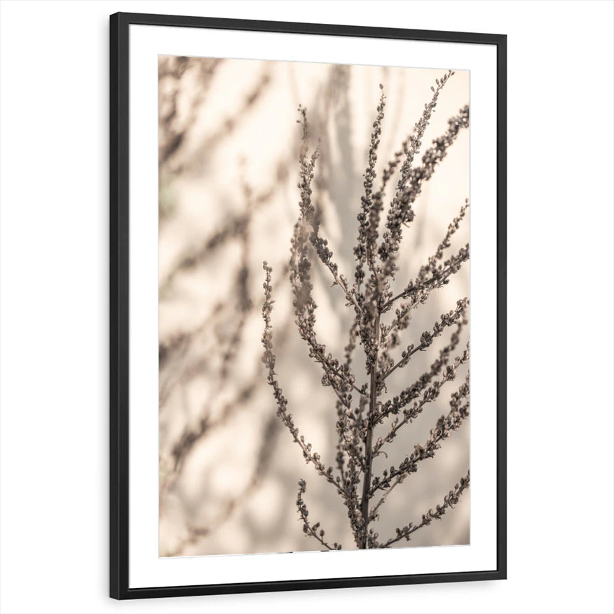 framed-print-black-matted
