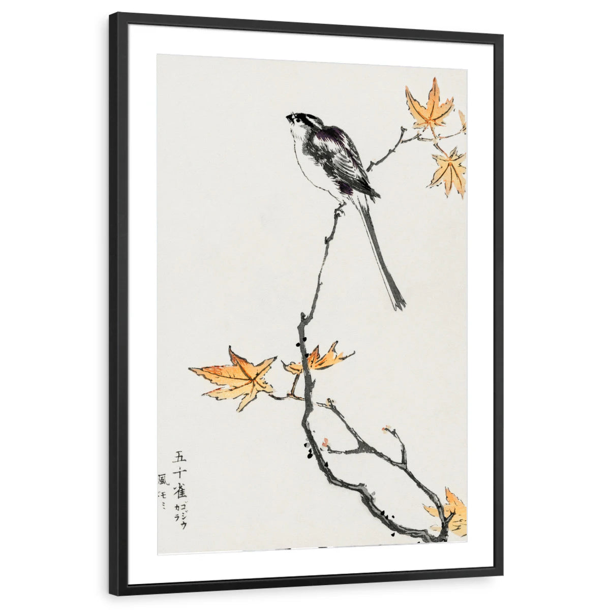 framed-print-black-matted