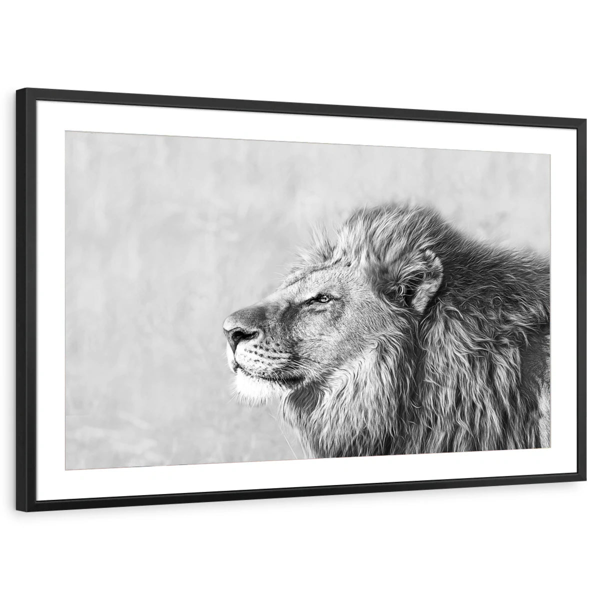 framed-print-black-matted