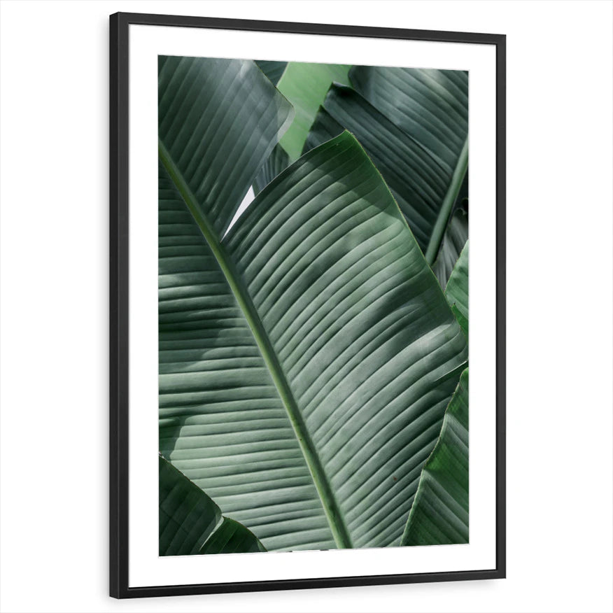 framed-print-black-matted