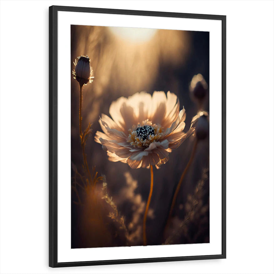 framed-print-black-matted