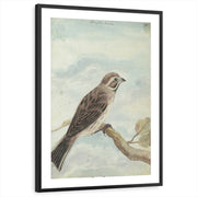 framed-print-black-matted