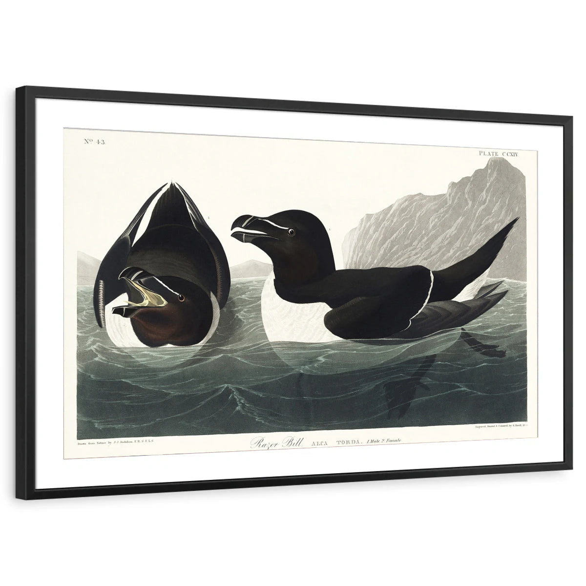 framed-print-black-matted