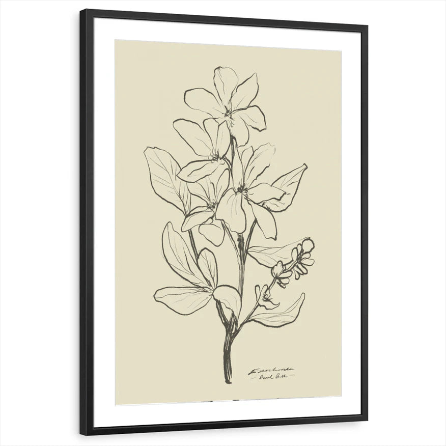 framed-print-black-matted