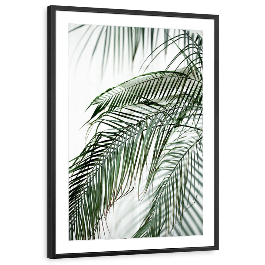 framed-print-black-matted