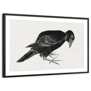 framed-print-black-matted