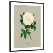 framed-print-black-matted