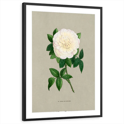 framed-print-black-matted