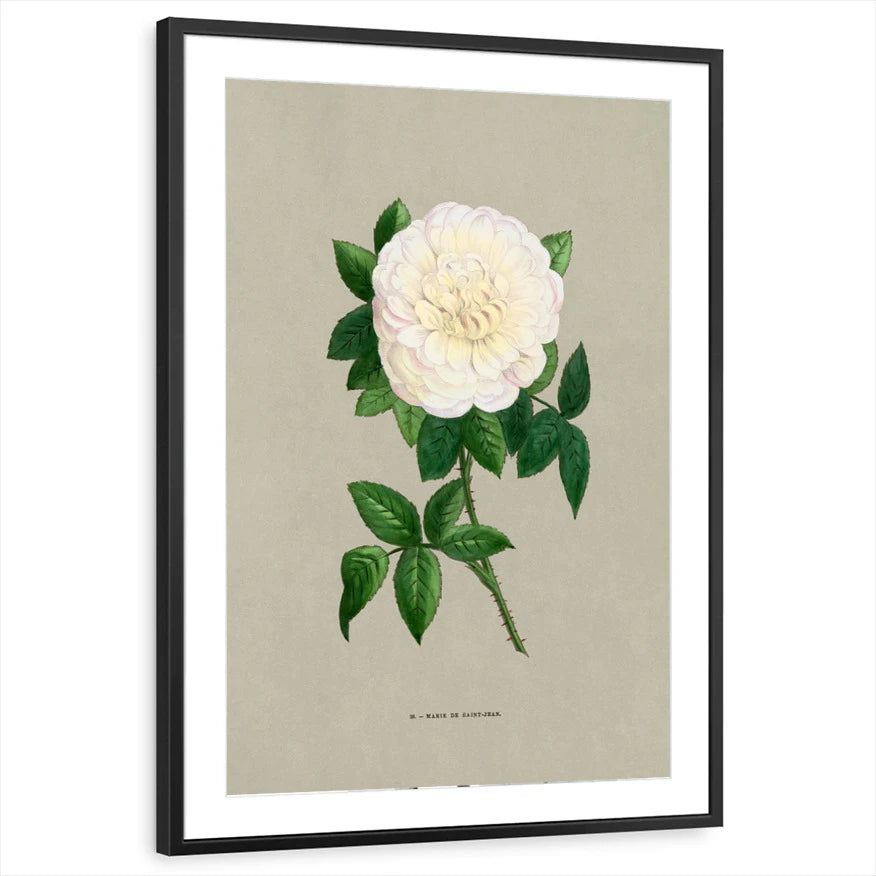 framed-print-black-matted