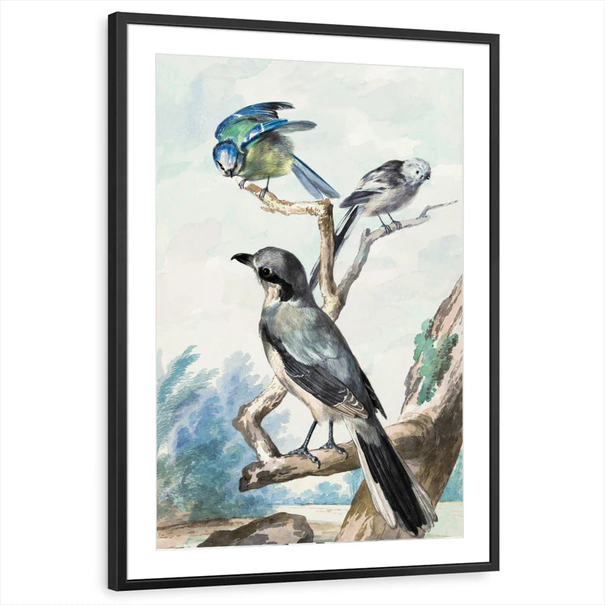 framed-print-black-matted