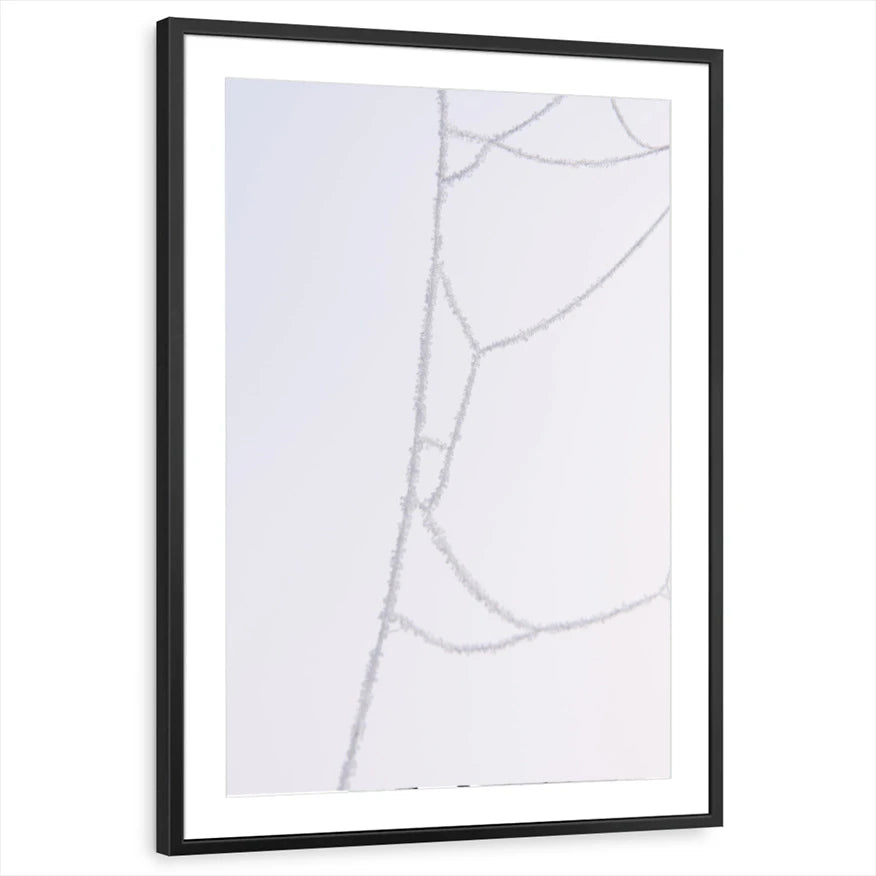 framed-print-black-matted