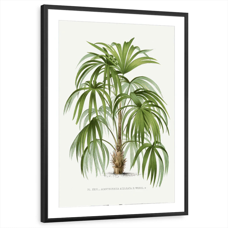 framed-print-black-matted