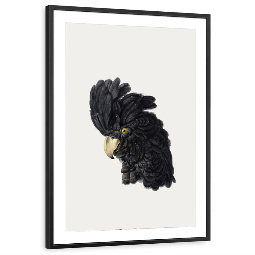 framed-print-black-matted
