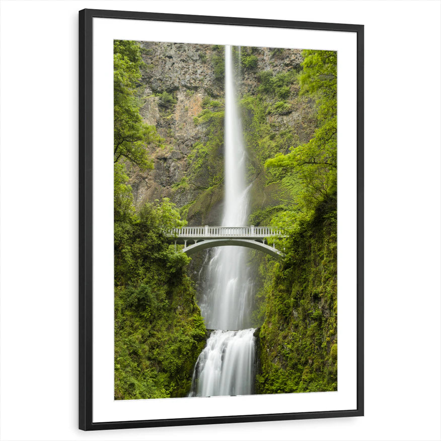 framed-print-black-matted