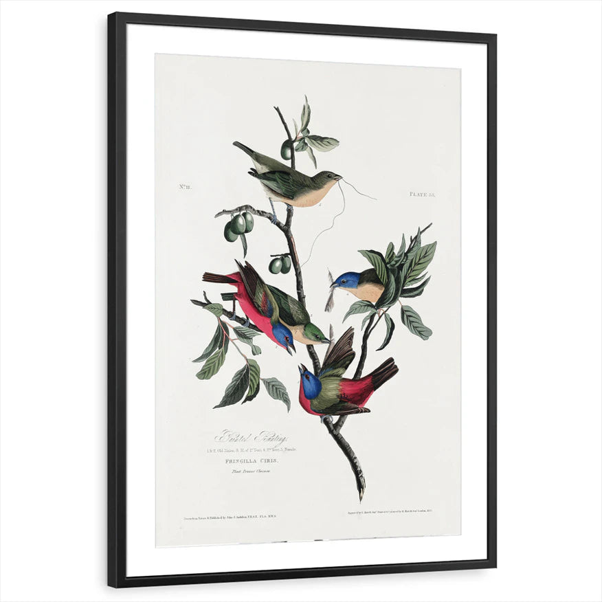 framed-print-black-matted