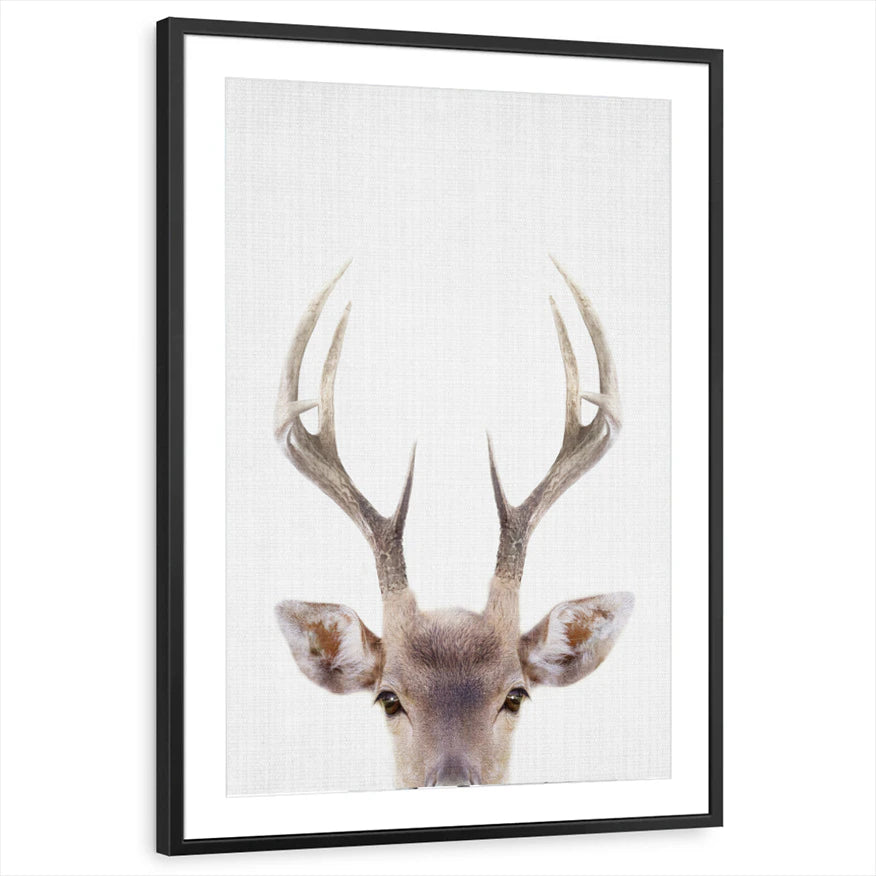 framed-print-black-matted