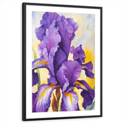 framed-print-black-matted