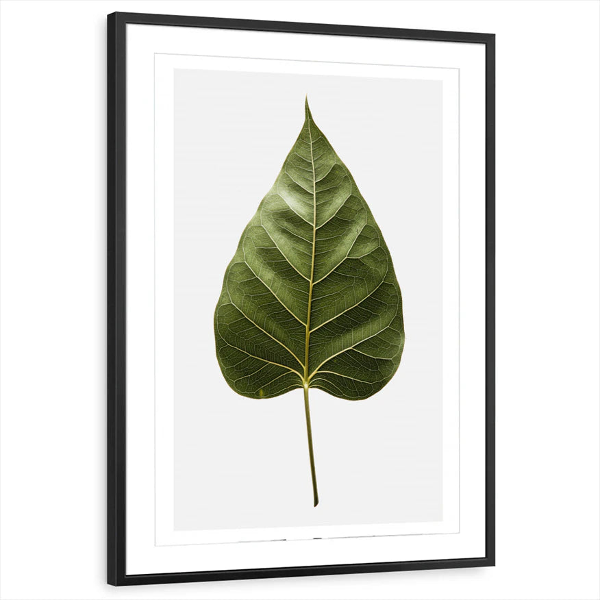 framed-print-black-matted