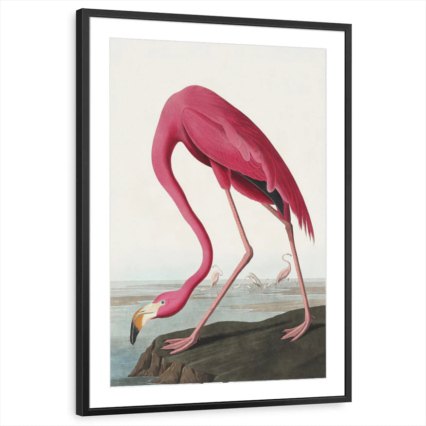 framed-print-black-matted