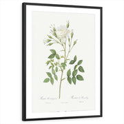 framed-print-black-matted